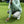 Load image into Gallery viewer, Performance Hoodie Mint