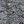 Load image into Gallery viewer, The Looper