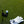 Load image into Gallery viewer, GG Golf Gloves
